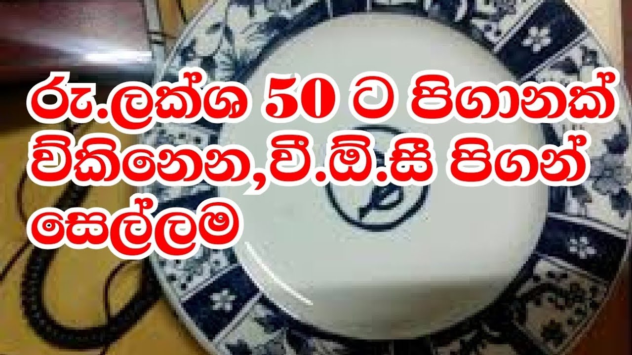 රුපියල් ලක්ශ 50 ,වීඕසී පිගන් සෙල්ලම../Play with VOC plates YouTube