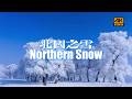 [4K] Winter Wonders of Northern China: Snowy Beijing, Shenyang, and Harbin, Tianjin, Zhalantun……