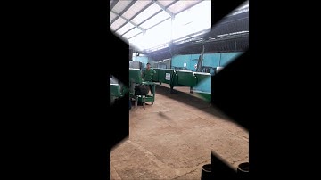 BĂNG TẢI CO GIẢN CHUYÊN XUẤT NHẬP HÀNG VÀO CONTAINER 20Feet ĐẾN 45Feet