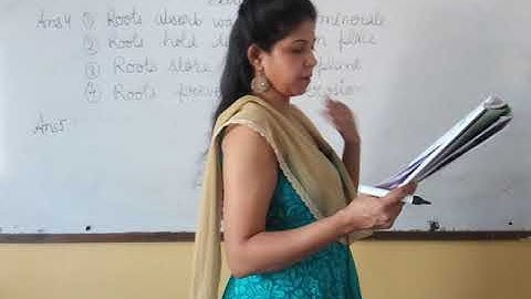 Class IV EVS Chap 4 Plants..... Flowers, Roots & Trees Part 8