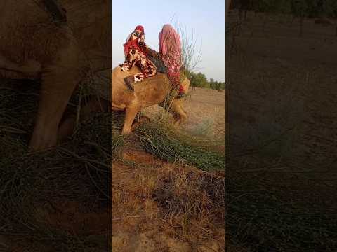 كيف سقطت الفتاتان أثناء جلوسهما فوقك