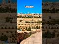 From the heart of the Holy Land. Nothing compares to this view. 🕊️🇮🇱🌟#israel #travel #Jerusalem
