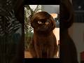 Cute and Funny Cat Videos Compilation. Part 127.