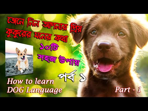 কুকুরের ভাষা বোঝার ১০টি সহজ উপায় | dog behavior explained in Bengali | Dogs language | WILD INDIAN