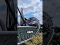 Insane Roller Coasters You Won't Believe! 🔥 #shorts