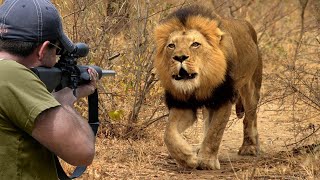 The African lion and the hunter face to face 😱🔥👍👌 Part 5