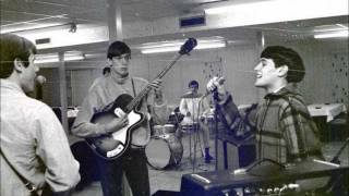 Video thumbnail of "The Young Aristocracy - Don't Lie ('60s GARAGE)"