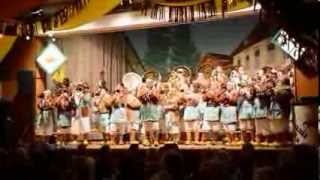 Try - Zunftabend 15.02.2014 In Fahrnau