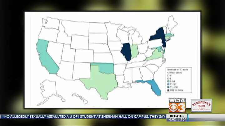 Superbug cases on the rise