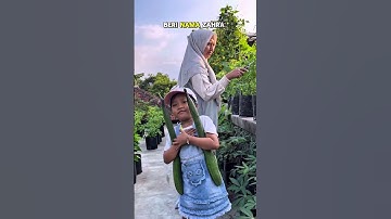 Berkebun membawa berkah #berkebun #hanzgarden #kebunataprumah #gardening #gardeningtips