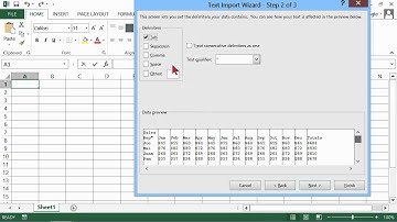 Microsoft Office Excel 2013 Tutorial: Importing Data into Excel | K Alliance