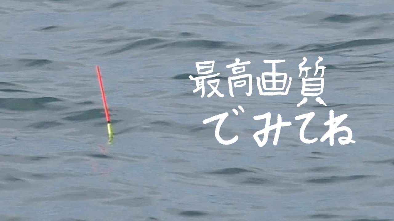 『ウキあたりシーンあり』真夏のウキフカセ釣り修行!!!!