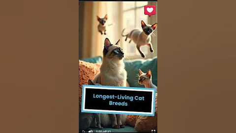 Watch the video about Longest living Cat Breeds #cat #breeds #cats #kittens#shorts #short #facts #youtubeshorts