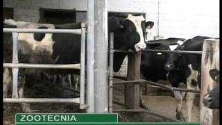 agricoltura oggi 6 giugno 2015