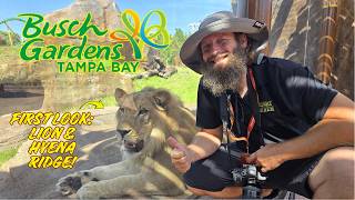 FIRST LOOK: Busch Gardens Tampa Bays Brand-New Lion & Hyena Ridge!