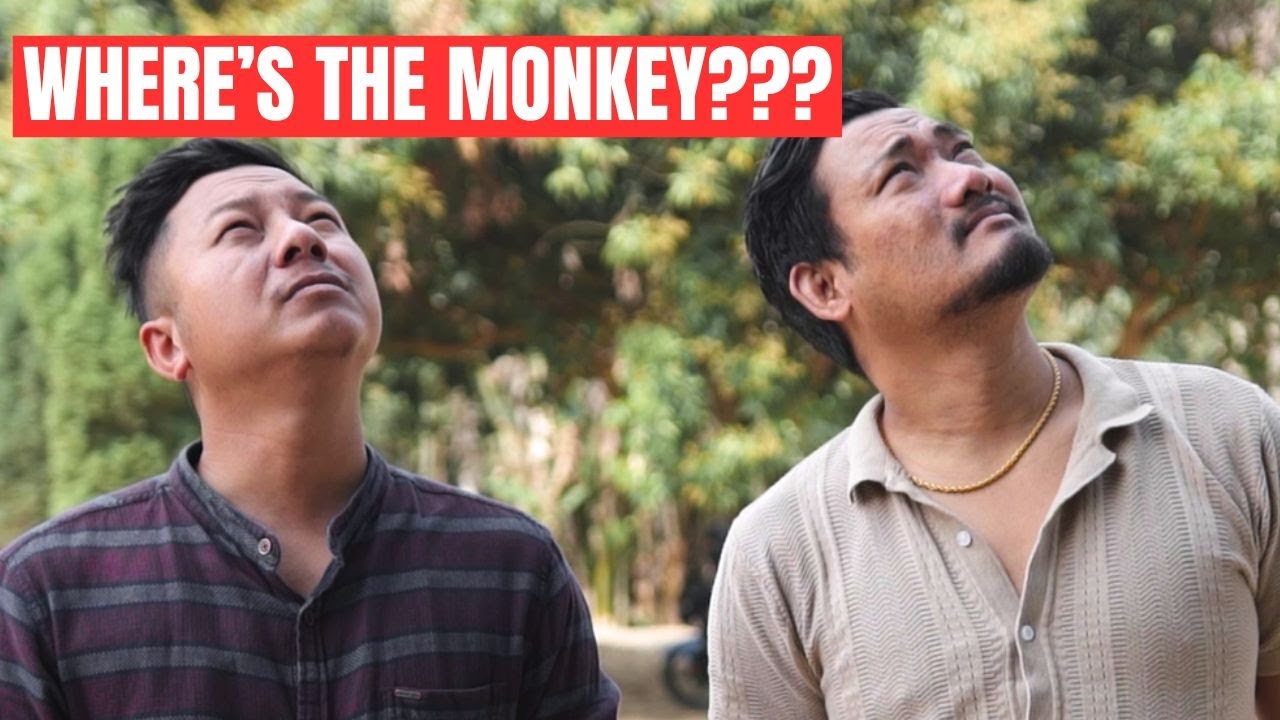 ARE YOU A MONKEY OR AN ELEPHANT | DREAMZ UNLIMITED