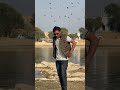 rang Rasiya vibe in jaisalmer 😍✨ #jaisalmercity #jaisalmer