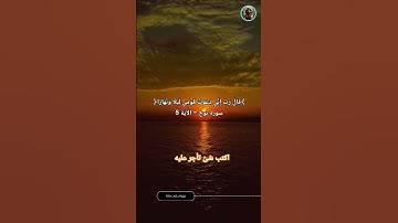 ﴿قَالَ رَبِّ إِنِّي دَعَوْتُ قَوْمِي لَيْلًا وَنَهَارًا﴾سورة نوح #قرآن #اكسبلور#quran #المصحف#ترند