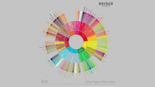 What is the coffee taster's flavour wheel?