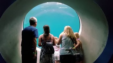 Inside Explorer at Frost Science,  Miami