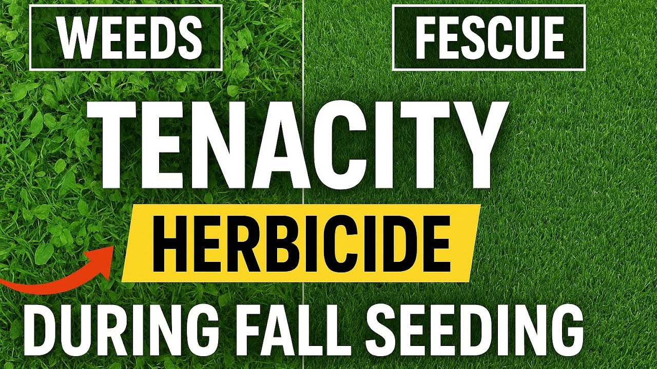 herbicides with glyphosate Aquatic Herbicide Concentrate 32oz (glyphosate 54%)