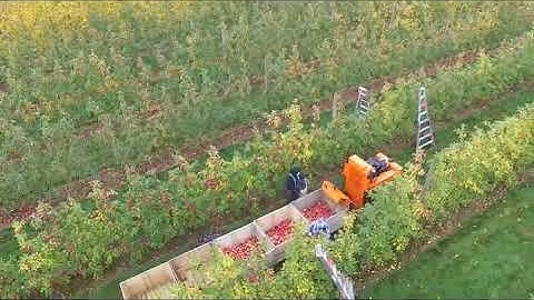 Self propelled bin trailer picking