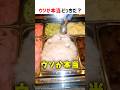 【何問正解できる？】ウソか本当どっちだ！？ part73 #クイズ #ショート #shorts #猫 #かわいい #cat