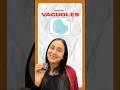 Vacuoles: Structure &amp; Functions #shorts #ytshorts #neet #class11 #study #youtubeshorts #exam #yt
