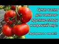 Подкормка томатов гуматом калия- плоды укрупняются на глазах!.