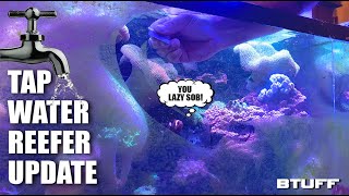 Lazy Tap Water Saltwater Reefer cleans his decrepit fish tank