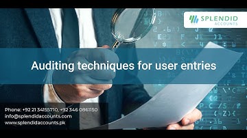 Auditing techniques for user entries in Splendid Accounts