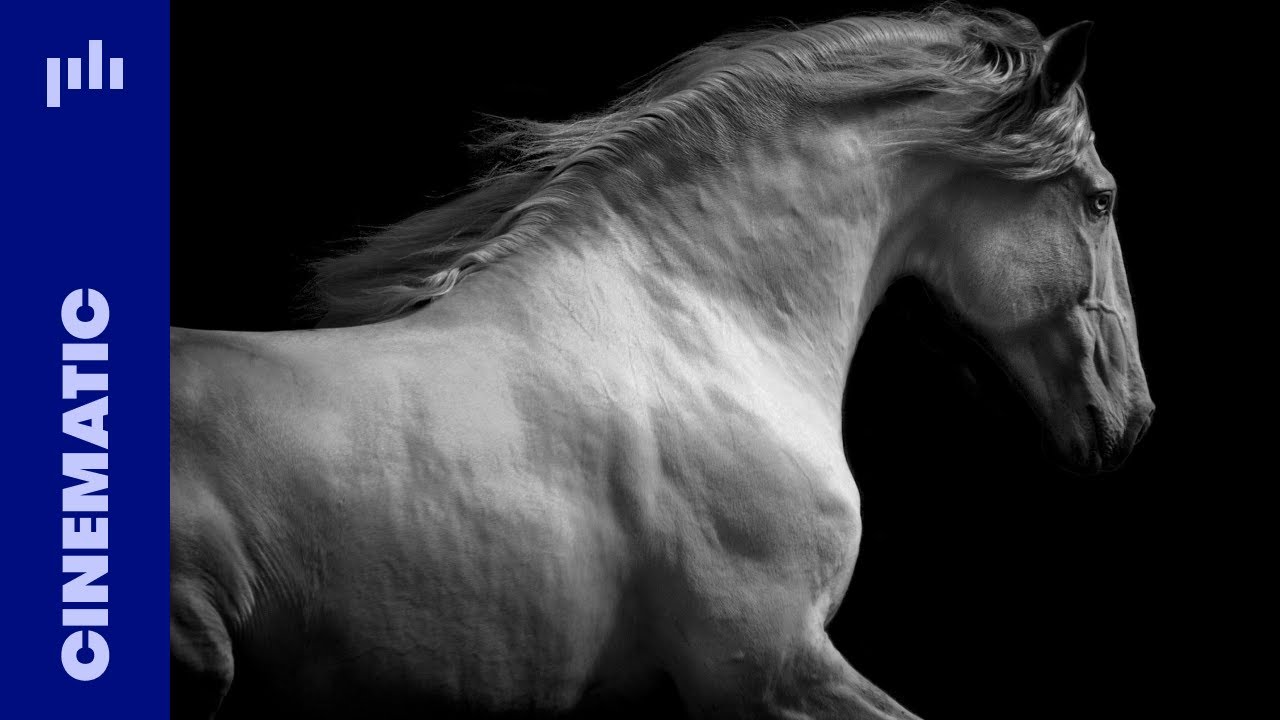 Tiny Music - The Mastermind (Official Audio)