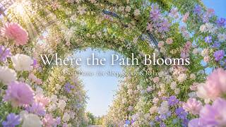 where the path blooms 🌸 relaxing piano for calm mornings, reading & sleep