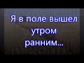 Я в поле вышел утром ранним...