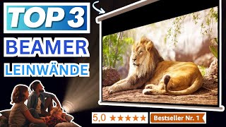 Best Projector Screens (Test Winner 2026) | Top 3 Projector Screens Comparison