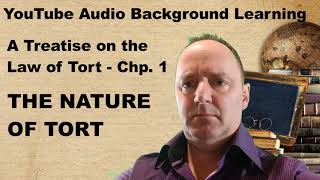 Nature of Tort Law: Chapter 1 of A Treatise on the Law of Tort