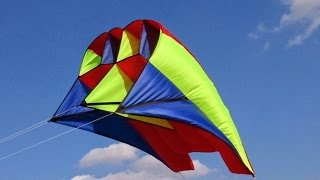 Flowform Kite