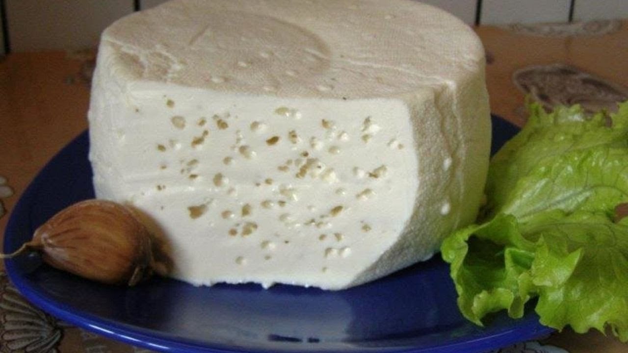 Можно сделать сыр в домашних условиях. Козий сыр Турынгурт. Домашний сыр из молока. Домашний сыр из коровьего молока. Домашний сыр приготовление.