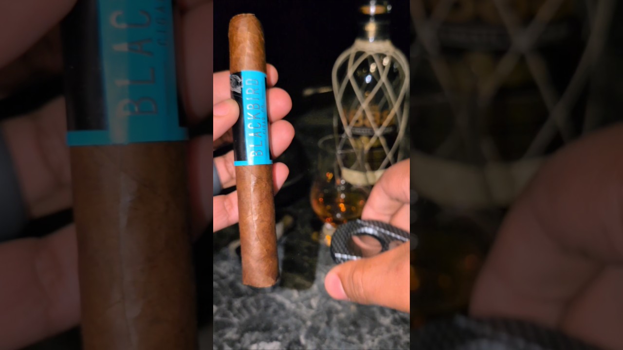 🌒 🍂 ASMR Cigar Smoking & Relaxation | Trying this BLACKBIRD 