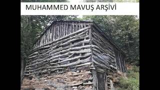 PERİHAN MESUDİ AĞAÇLIKTAN ARAR GELİR Resimi