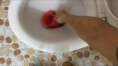 Trò đùa uống nước bồn cầu và kết đắng | Thịnh tây