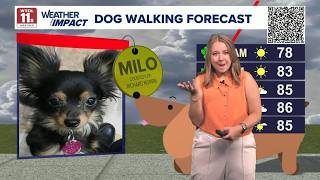 Dog Walking Forecast Green Paw Beautiful Day Good Day On Wtol 11