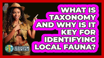 What Is Taxonomy And Why Is It Key For Identifying Local Fauna? - Ecosystem Essentials