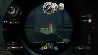 Quad Headshot Feed (With Ace) - BO4 SnD