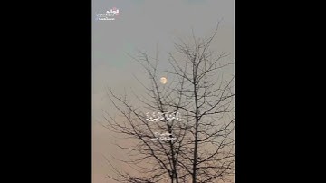 ﴿فلا يحزنك قولهم...﴾ [يس:٧٦] || القارئ محمد هشام حسن