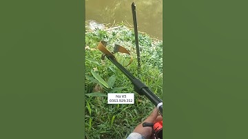 Nỏ bắn cá chính xác - mẫu nỏ bắn cá V3