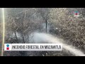 Se desata incendio forestal en Mazamitla | Imagen Noticias GDL con Rey Suárez