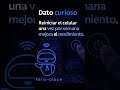 3 datos tecnológicos que tu celular hace en secreto #Tecnología #HacksCelular #FelixPlace