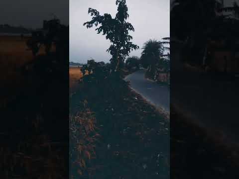 #short#cinematicvideo