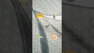 Dhoom... #viral #news #shorts #trending #music #news #happy #motivation #india #america #kids #cute